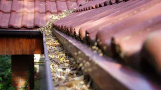 What Causes Gutters to Overflow in Joplin? Common Problems & Fixes for Missouri Homes