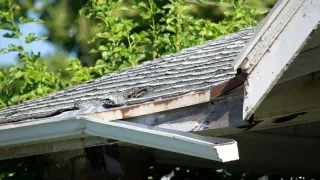 Sagging Gutters? Learn What to Do Before It Gets Worse