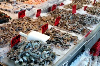 Sobrepesca, zonas muertas y acidificación del océano