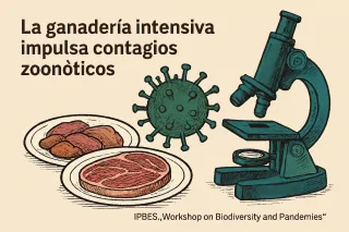 Atrévete, ayuda a prevenir otra pandemia