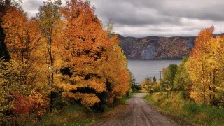 Activités d'automne