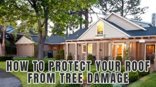 How to Protect Your Roof from Tree Damage
