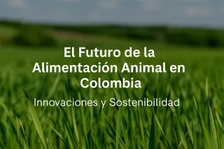 El Futuro de la Alimentación Animal en Colombia: Innovaciones y Sostenibilidad
