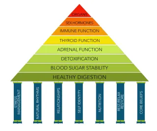 From Coach to Steward: A New Era of Wellness Leadership