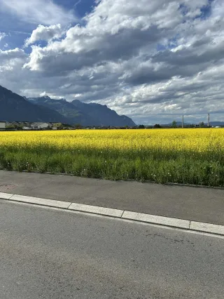 The Next Version of You Requires Letting Go