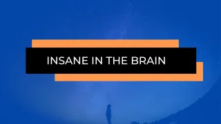 Insane In The Brain