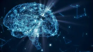 Keys For Rewiring P*rn Brain