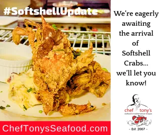 Softshell Crabs are around the corner!