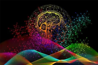A Role for Vision in the Development of Inhibitory Networks