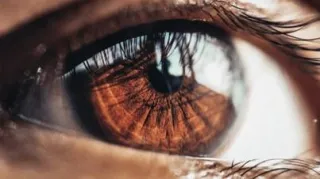 Scientists Shed More Light on Retina as ‘Window to Brain’