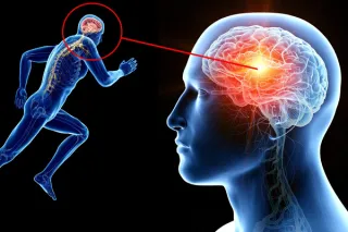Just 10 Minutes Of Movement Can Increase Focus & Brain Functioning