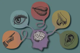Auditory–Visual Misalignment: A Theoretical Perspective on Vocabulary Delays in Children With ASD