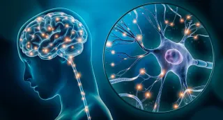 Spatial Biology: Location, Location, Location!