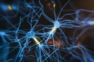 Does Holding an Idea in Your Mind Involve Storing It in Synapses?