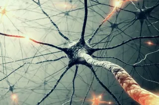The polyvagal theory: New insights into adaptive reactions of the autonomic nervous system