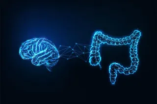 Gastrointestinal issues and Autism Spectrum Disorder