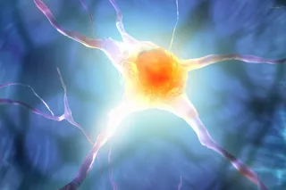 How the brain rewards pleasurable physical touch