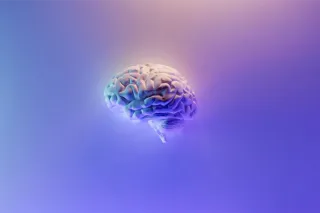 Fasting May Tell the Brain To Break Down Unhealthy Molecules