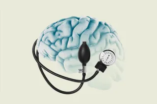 World-First Study Identifies Brain Changes Caused by High Blood Pressure