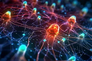 Cytoelectric Coupling: Electrical Fields Fine-Tune Brain Functioning