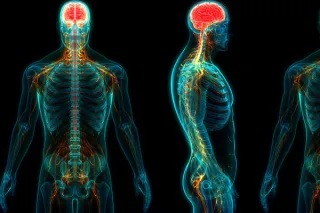 A Role of the Parasympathetic Nervous System in Cognitive Training