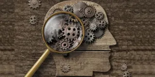 Cognitive reserve is a mechanism underlying the link between openness to experience and cognitive functioning in adults