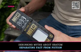 Debunking Myths About Kratom Separating Fact from Fiction
