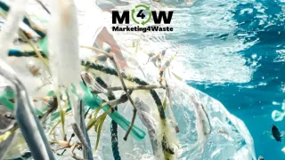 How to Collected More Waste As A Waste Management Company