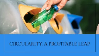 Circularity: A Profitable Leap for Your Waste Management Company