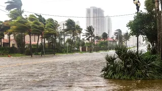 Hurricanes Unleashed: How Waste Management Leaders Can Transform Devastation into Opportunity