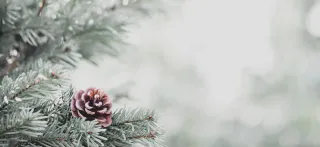 Holidays and the Pressures They Bring