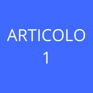 Articolo 1