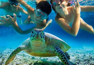 6 Reasons Why You Should ALWAYS Pre-Book Your Tours