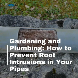 Gardening and Plumbing: How to Prevent Root Intrusions in Your Pipes