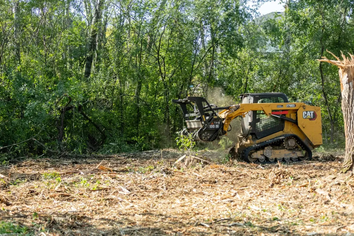 A Local’s Guide to Overgrown Land Clearing Near Rock Island County, IL | Safe & Efficient Lot Clearing Tips