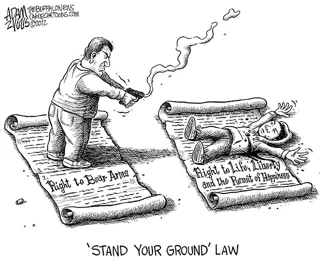 The Most Misinterpreted Florida Gun Law