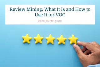 Review Mining: What It Is and How to Use It for VOC