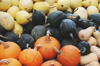 Winter Wellness with Squash