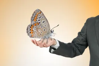 Embrace Change With Confidence: Learn How to Handle It