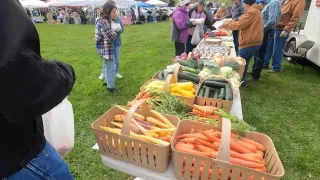 Explore these Spring Hill farmers markets