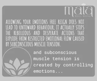 Emotional Flow in a Perfect World