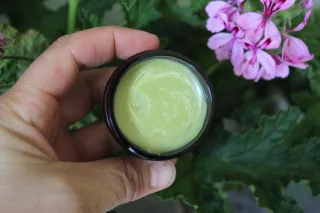 Tallow Zinc - Sun Loving Smarts