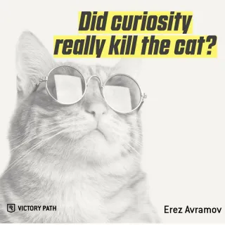 Did curiosity really kill the cat
