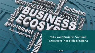 Why Your Business Needs an Ecosystem (Not a Pile of Offers)