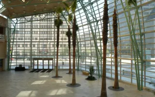Step Into the Magic: Discover the Wintergarden Atrium at the Benjamin & Marian Schuster Center in Dayton, OH