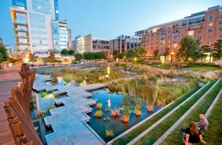 Discover the Pearl District: Portland’s Most Vibrant Neighborhood