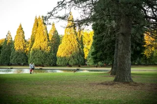 Sellwood-Moreland: Portland’s Ultimate Neighborhood for Charm, Shopping, and Outdoor Fun