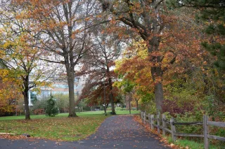 Willamette Park: Portland’s Riverside Escape You’ll Love