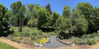 Overlook Park: Portland’s Scenic Escape with a View