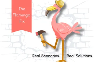 Flamingo Fix 019: Stop Absorbing Costs: The "Win-Win" Approach to Dealing With Clients Who Aren't Getting Results